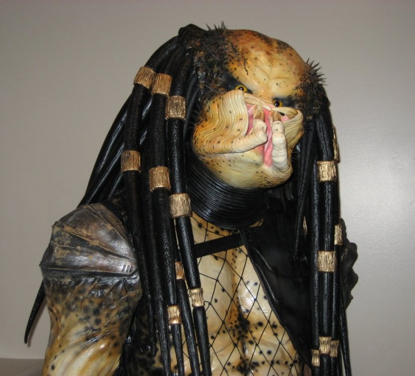 My Predator_04