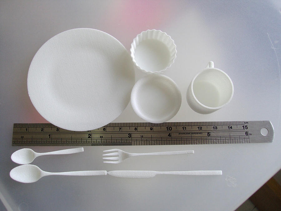 one third scale dishes