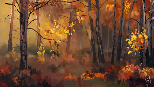 Autumn Forest