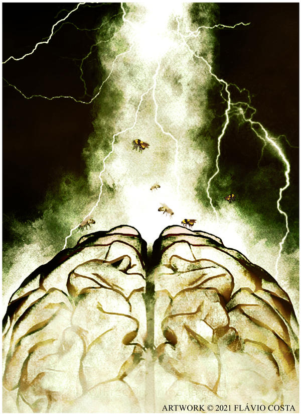Brainstorm by FHReader on DeviantArt