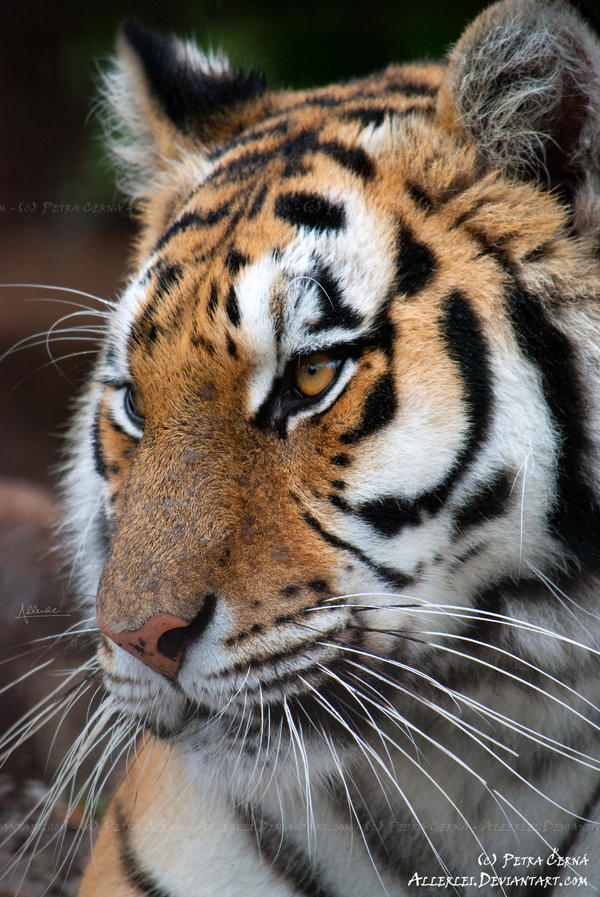 So sweet and kind...?