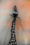 Giraffe with a dragon shadow by Allerlei