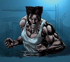 The Wolverine