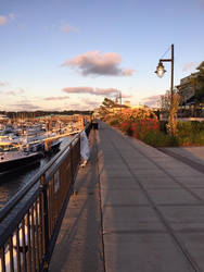 Dock Facing East