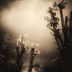 Explorations Aprile 20 2012