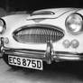 Austin Healey