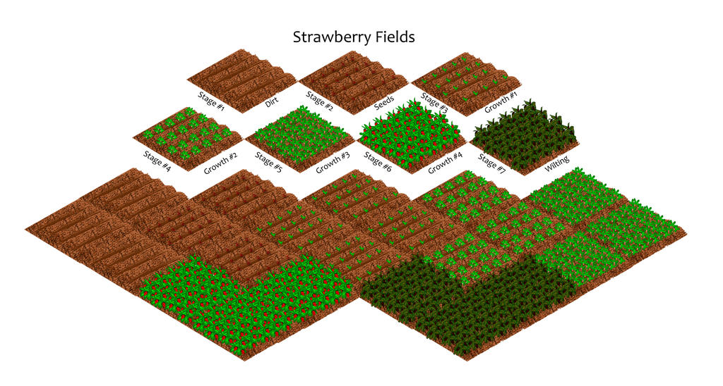 Strawberry Fields