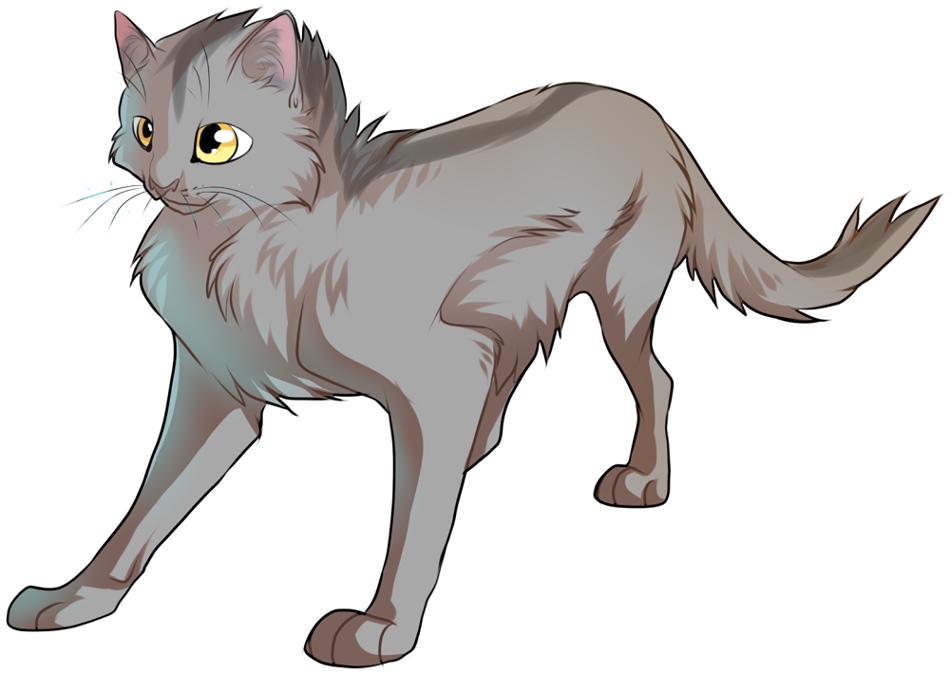 Graypaw