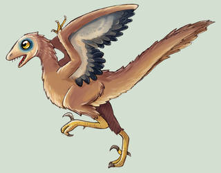 Bambiraptor for Graciea-Gureis