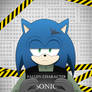 Identification - Sonic the Hedgehog
