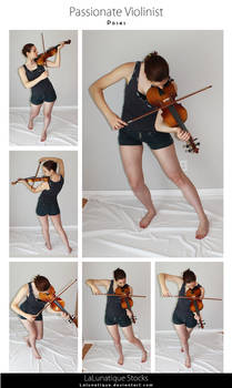 STOCK - Passionate Violonist