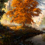 Autumn Stream