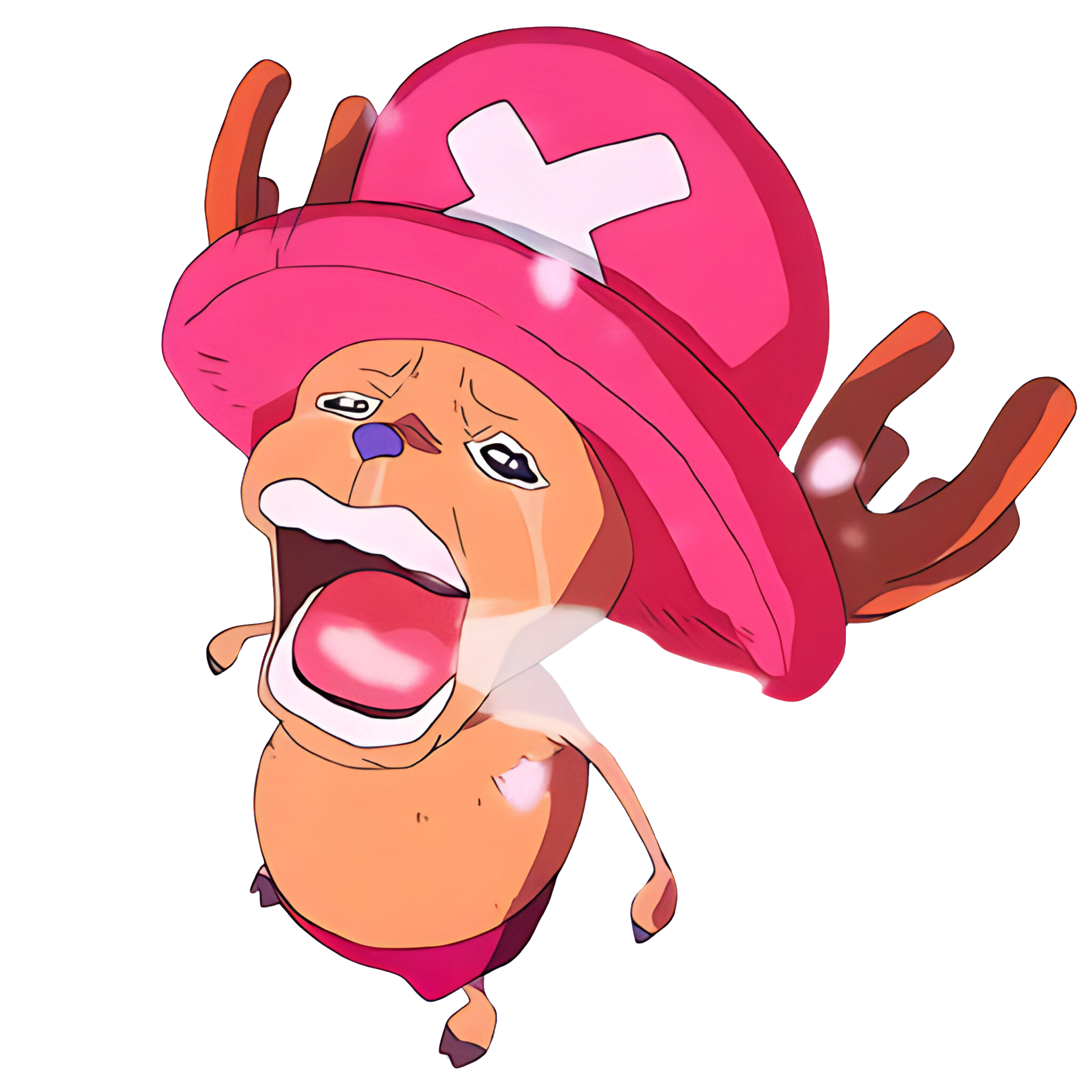 Chopper Meme Racoon Chopper Meme American Chopper Argument Meme