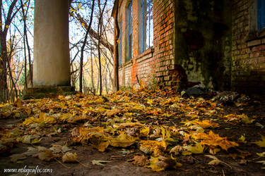 Chernobyl kindergarten Fall