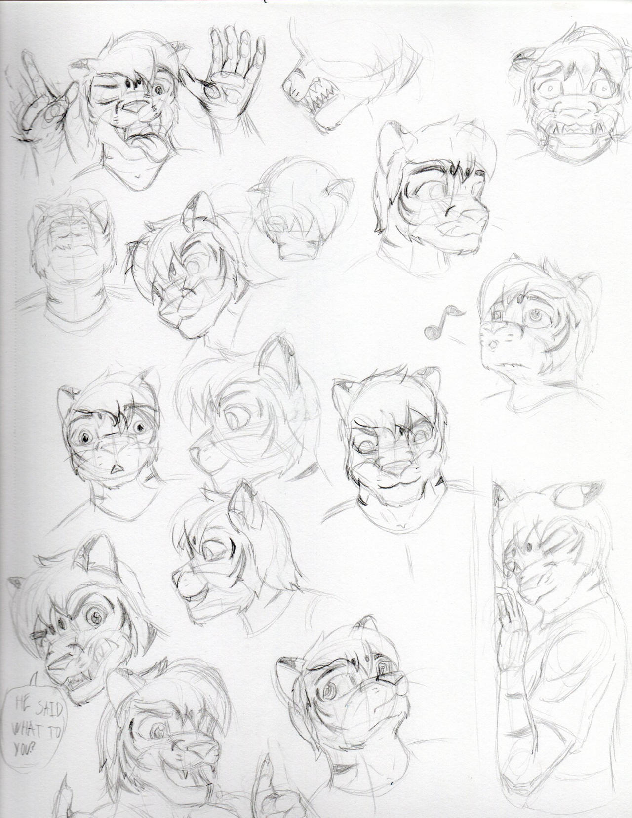 random expression by Tiger-Hawk on DeviantArt