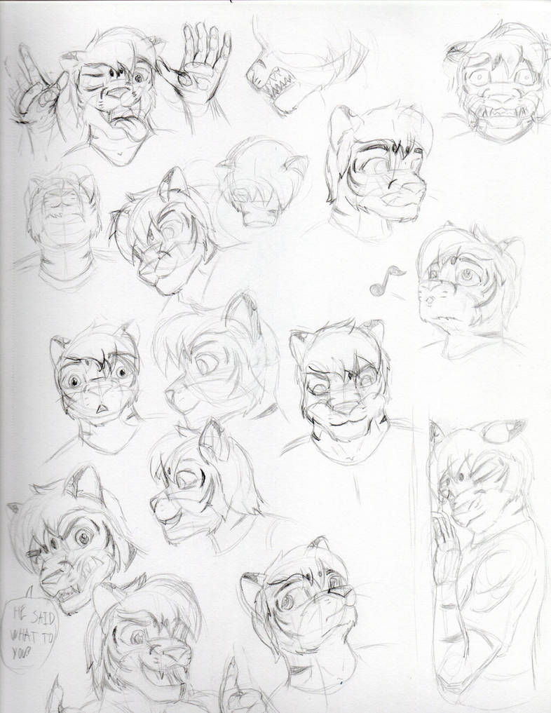 random expression by Tiger-Hawk on DeviantArt