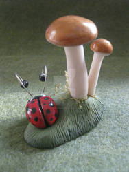 Ladybug with mushrooms and moss