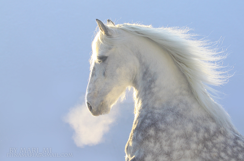 breath of winter