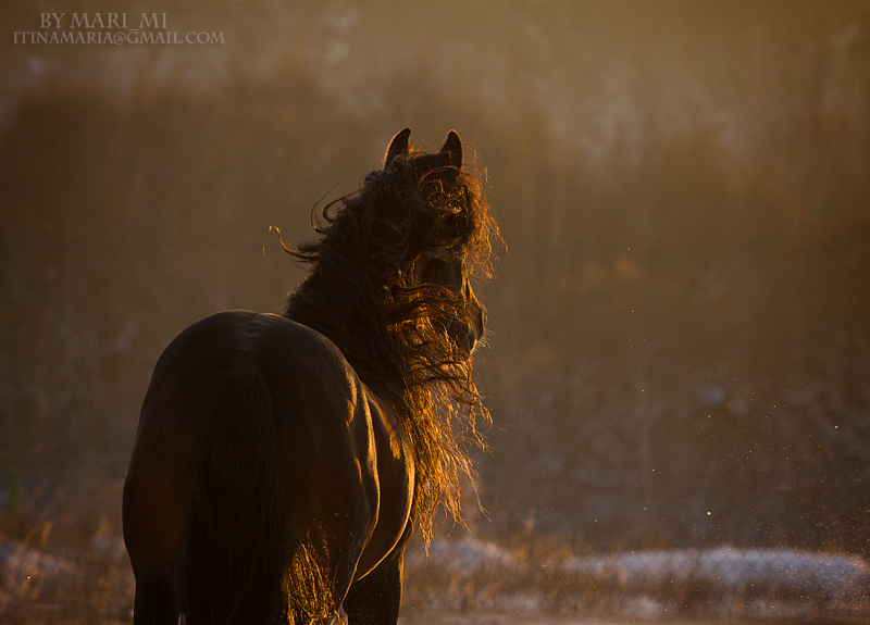 winter sunset