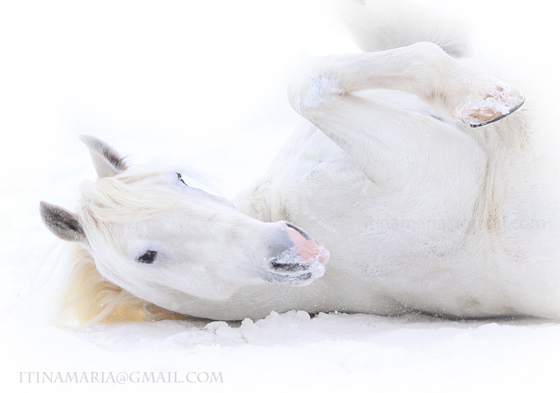 Enjoying snow