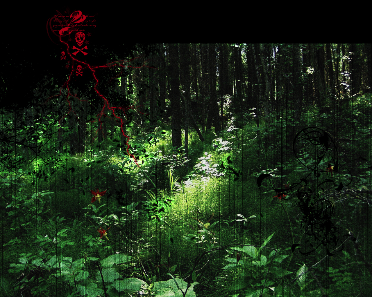 Dark Forest BG