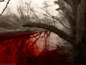 Bloody river