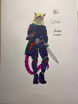 Catreed, the Christmas Crusader