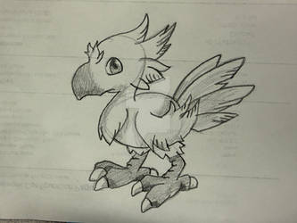 Chocobo Sketch