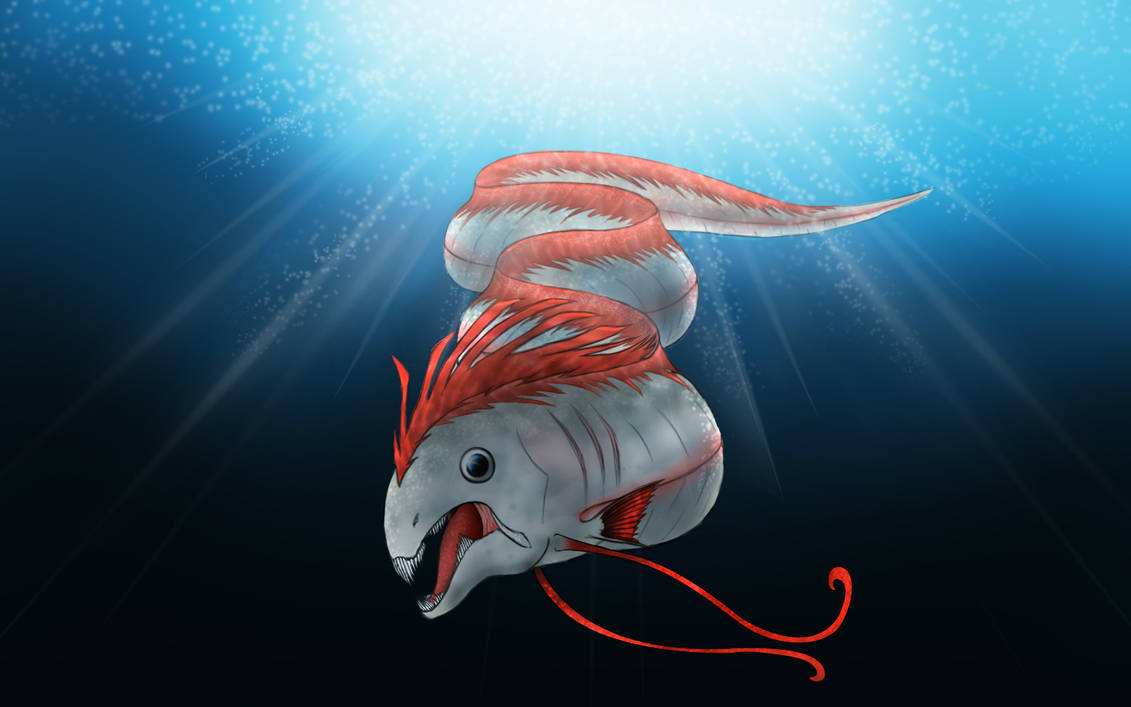 Wallpaper Del Pez Remo by JonAzyGar on DeviantArt