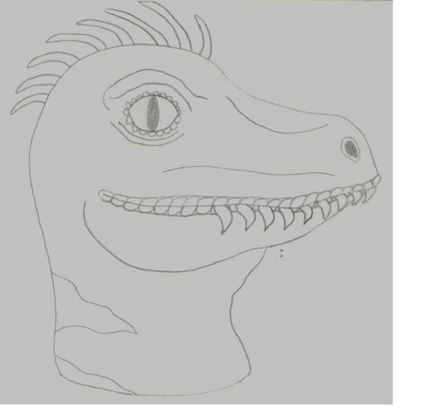 Raptor Head by Parrotgotales on DeviantArt