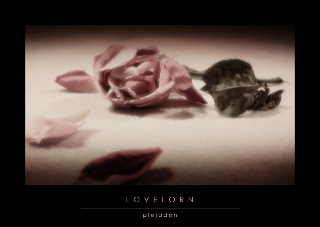 Lovelorn