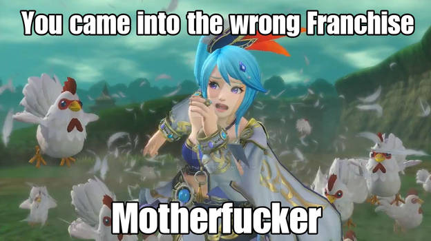 Hyrule Warriors Meme