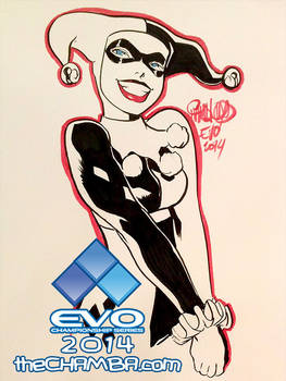 EVO 2014 - 15 - Harley Quinn