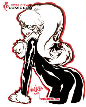 RoseCityComicCon2014 - BlackCat