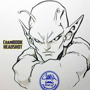 ChamBOOK Headshot - Piccolo