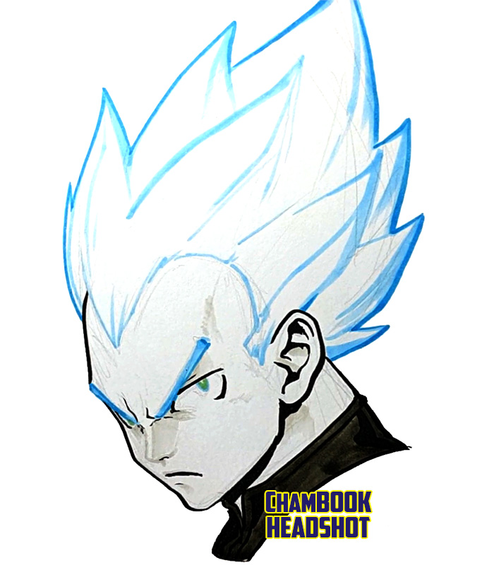 ChamBOOK Headshot - SSGSS Vegeta