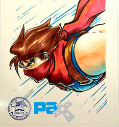 PAX 2015 - 20 - Strider Hiryu