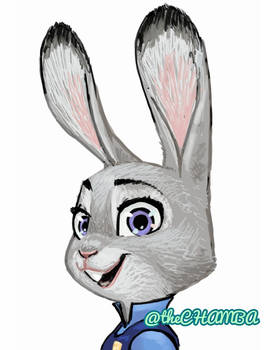 078 - Judy Hopps