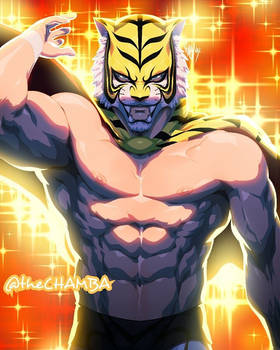 Tiger Mask W