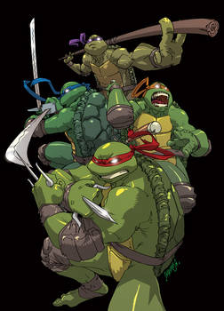 Teenage Mutant HERO Turtles