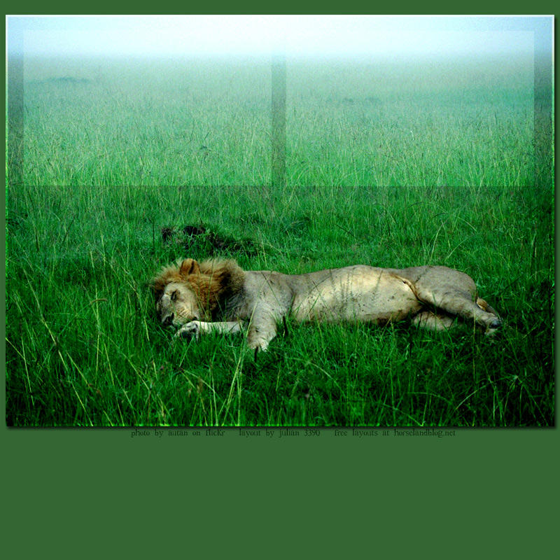 lion layout by jettRink on DeviantArt
