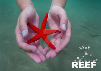 Save the Reef