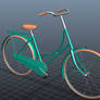 Bicycle Model