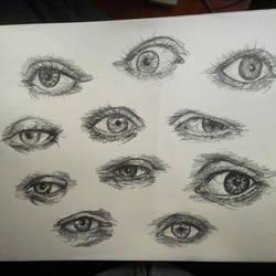 eyes study