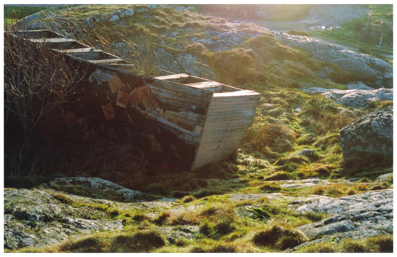 Decay by NiklasAndersson