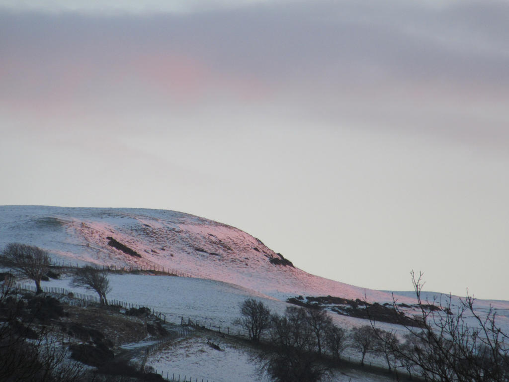 Winter sunset