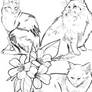 Cats n flowers sketch