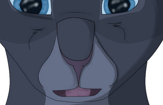 Bluestar lines colored thingy