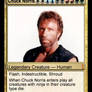 Chuck Norris MTG