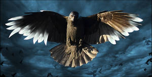 Crow of blades by darkshellie23
